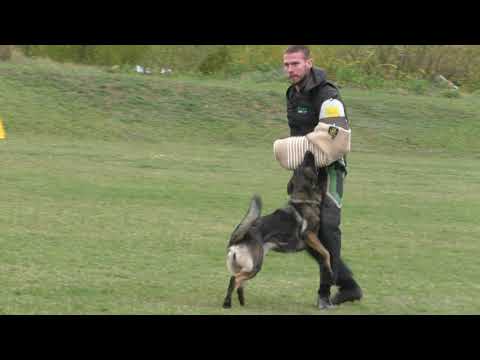 MM MSKS Zbraslav 2019 - Martina Nemravová - Janica Aykmar - obrana/defense