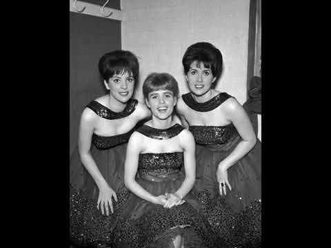 The Vernons Girls : Do The Bird