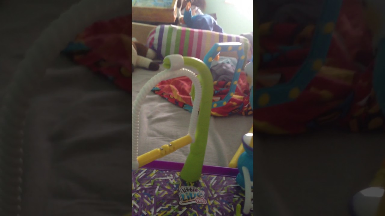 Little live pets vogel