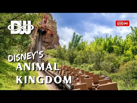 [ODWF LIVE 🔴] Relaxing Sundays: Disney's Animal Kingdom 06-11-2023 (part 1)