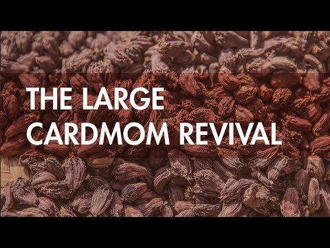 Large cardamom