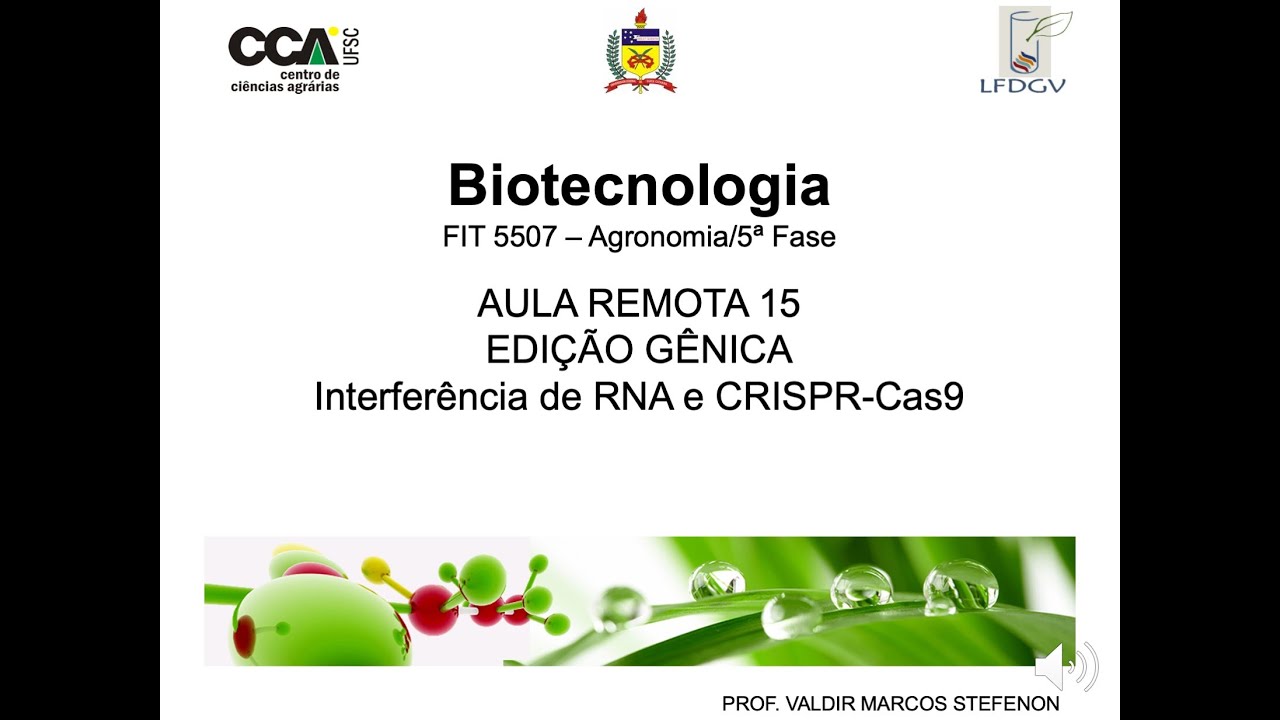 15.Biotec_AulaRemota15 - Edição gênica
