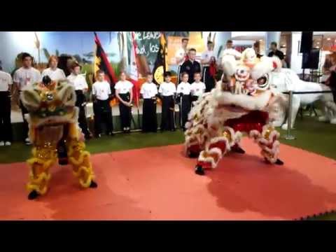 Traditioneller Chinesischer Löwentanz