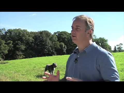 Solar Power with SunPower Builders