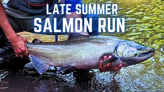 Salmon Run Season is HERE! | Lake Ontario Salmon Fly Fishing