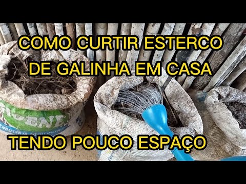 TANKING CHICKEN MANURE HOW TO TANK IT AT HOME, WITH LITTLE SPACE, EASY TO DO