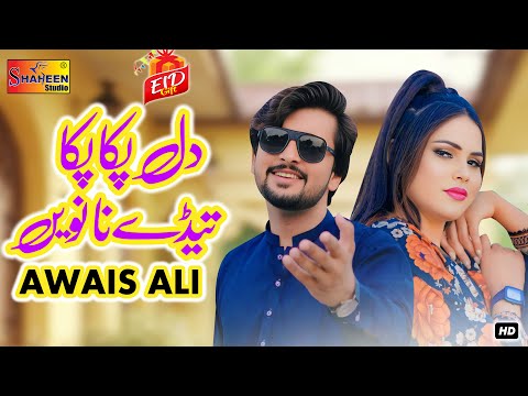 Dil Paka Paka | Awais Ali | Official Video Song | Shaheen Studio 2025