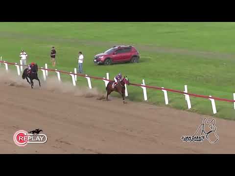 TODAS LAS CARRERAS DE VILLA ELISA