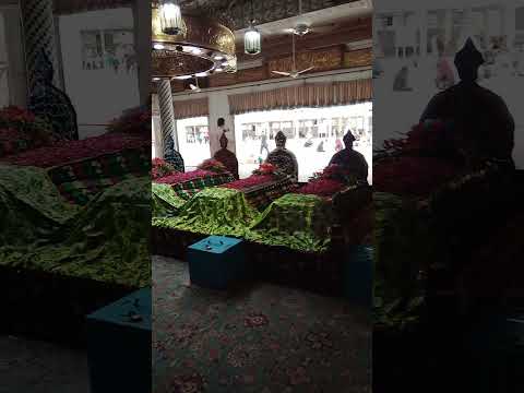 #flowers #duet #rose #pir #pakistan #foryou #shujaibrahim