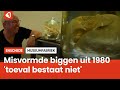 In Depot - Wat hebben deze biggen te maken met Tsjernobyl?