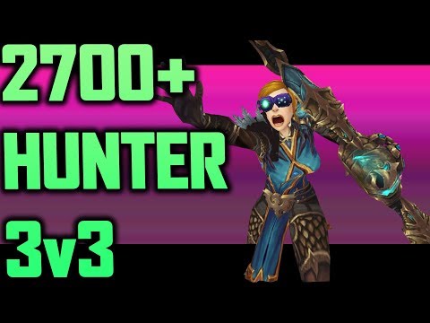 2700~ Marksmanship Hunter 3v3 Arena #19