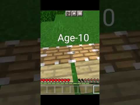 Rj dreamers - Minecraft Traps At Different Ages ... 😂 #shorts #minecraft #viral