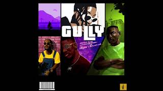 Gully Music Video
