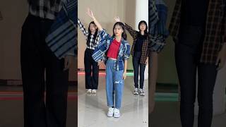 Download lagu Aduh abang bukan maksudku begitu | Stecu Dance Version mp3