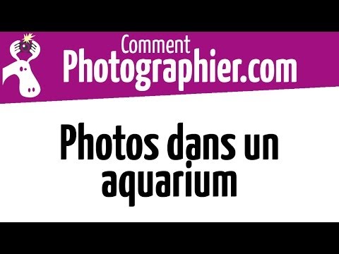 comment prendre son aquarium en photo