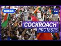 India S Youth Cockroach Movement Taking On The Modi Government 7 30