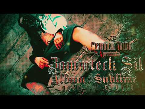 10.- puro vato mexicano  Zammteck sil ft toxic center side 713 ( álbum sublime)2021