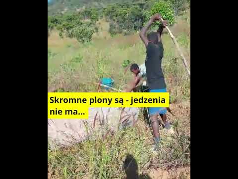 Obrazek poglądowy filmu YouTube