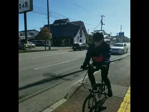 Dahon Curl tipis-tipis 1