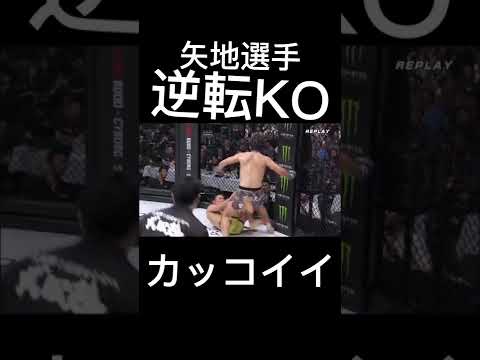 矢地選手の逆転KOがかっこよすぎ#rizin #切り抜き