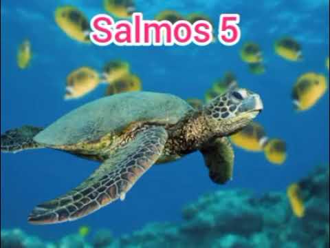 SALMOS 5. (eu anelo por sua palavra)