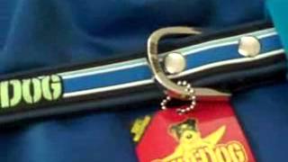 Surf Dog Waterproof Dog Collars & Surf Dog Waterproof Leads - Surf Dog Australia