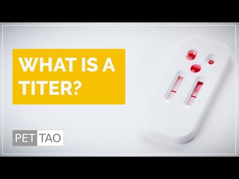 What is a Titer? - PET | TAO Series: Ask Dr. Marc Smith!