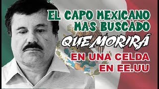 LAS CADENAS PERPETUAS DEL CHAPO | MÉXICO | SINALOA