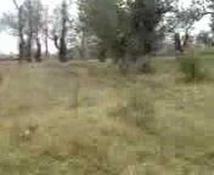 cascadoru"BENZINA"(LIPOVA)