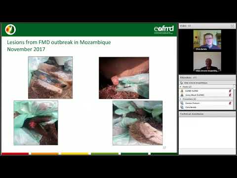 Elisa Simone talks about the Progressive Control Practitioner Network