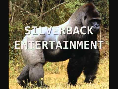 SILVERBACK YUNG NOONK.wmv