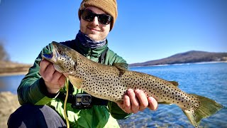 Fishing BIG Bodies of water for BIG BROWN Trout! Catch and Cook!