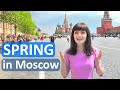 SPRING IN MOSCOW | The best time to visit Russia's capital (English subs, subtítulos en español)