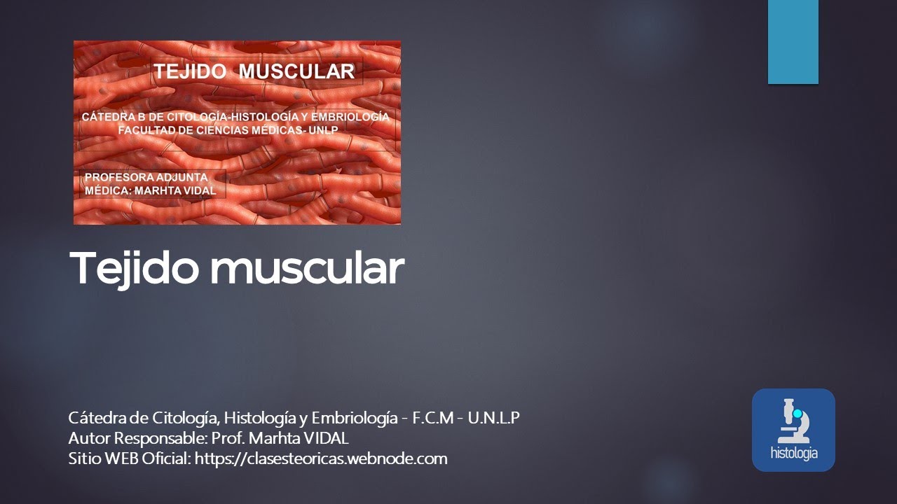 TEJIDO MUSCULAR