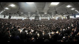 Exclusive Official Video - Kuf Alef Kislev in Satmar 2016 | סאטמאר כ"א כסלו תשע"ז