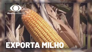Miniatura do vídeo