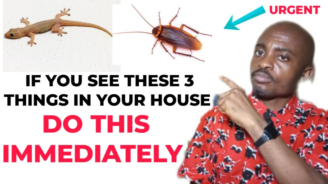 If You See These 3 Things In Your House Do This Immediately.