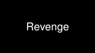 Plain White T&#39;s - Revenge (Lyrics)