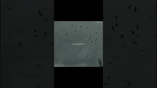 teeje Week – Jordan Sandhu Aesthetic Lyrics #trending #trendingshorts #lyrics #yt_melorix #reels