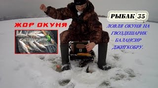 Как и на что ловить окуня в декабре
