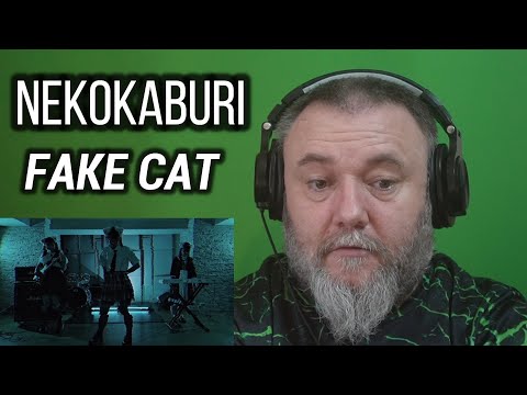 NEKOKABURI - FAKE CAT (REACTION)