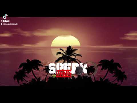 DMP X DJ NEDZ Ft JROCK -CRAZY-REGGAE RMX 💯💥