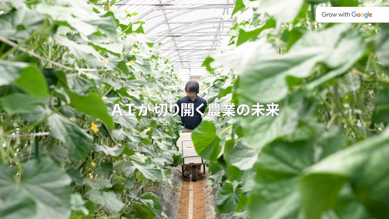 Video preview image