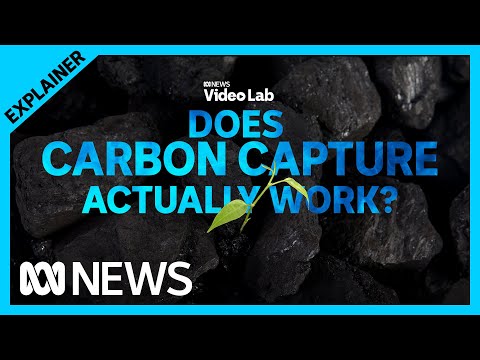 How does carbon capture and storage actually work? | ABC News