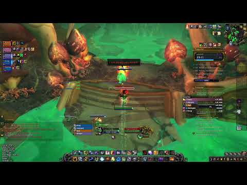 WoW Shadowlands 9.1.5 enhancement shaman pve Plaguefall Mythic +5
