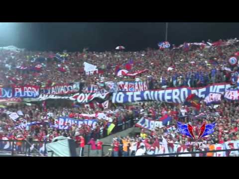 "Centenario del DIM  REXIXTENXIA NORTE" Barra: Rexixtenxia Norte • Club: Independiente Medellín