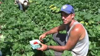 Tell YOUR Story - Second Nature Farm