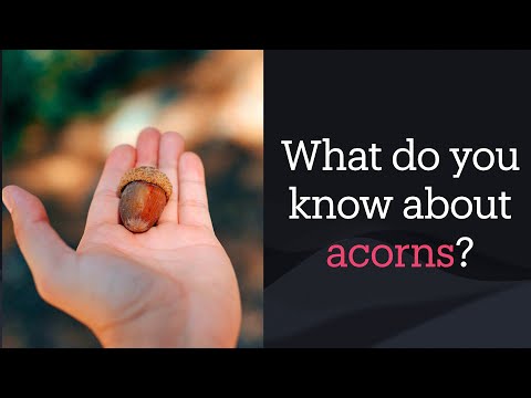 "What is God growing?" | Malcolm Cox | 07 September 2025