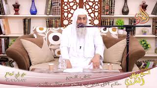 أبو شجاع  كتاب الأطعمة القرش والحوت وكلب البحر للشيخ مصطفى العدوي تاريخ  23 6 2021 image