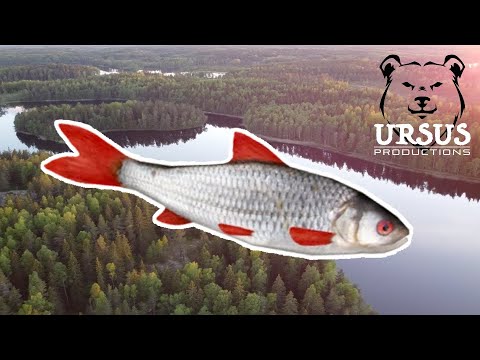 Pescuitul cu pluta si camping (prima data in cort)